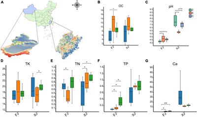 Assessing the structure and diversity of fungal community in plant soil under different climatic and vegetation conditions